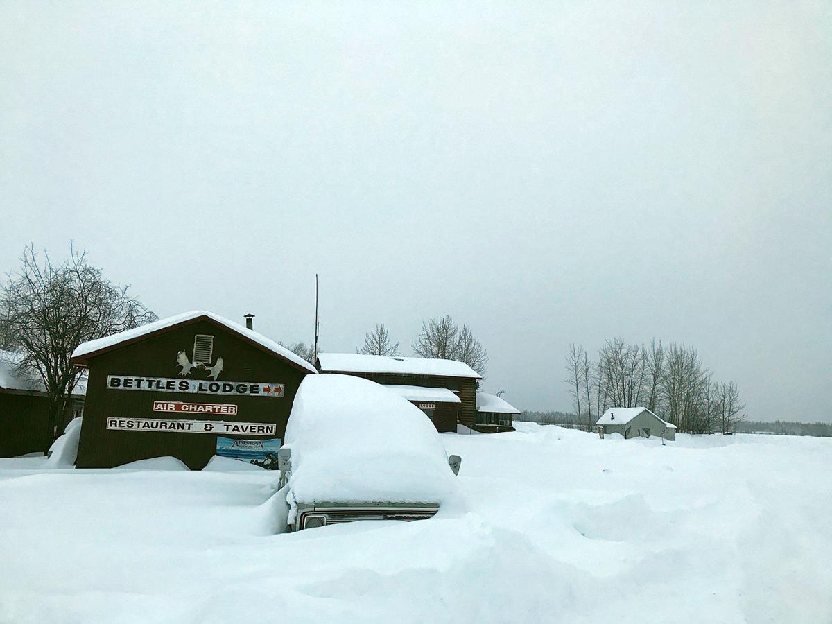 Storm Blankets Bettles In 2 1 2 Feet Of Snow Local News Newsminer Com