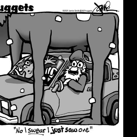 Nuggets - Feb. 28, 2021 | Nuggets | newsminer.com