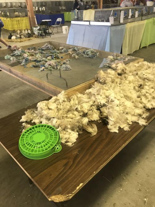 Fair 2019