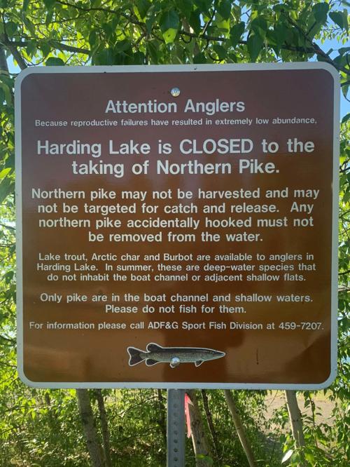 Harding Lake closed to taking of northern pike
