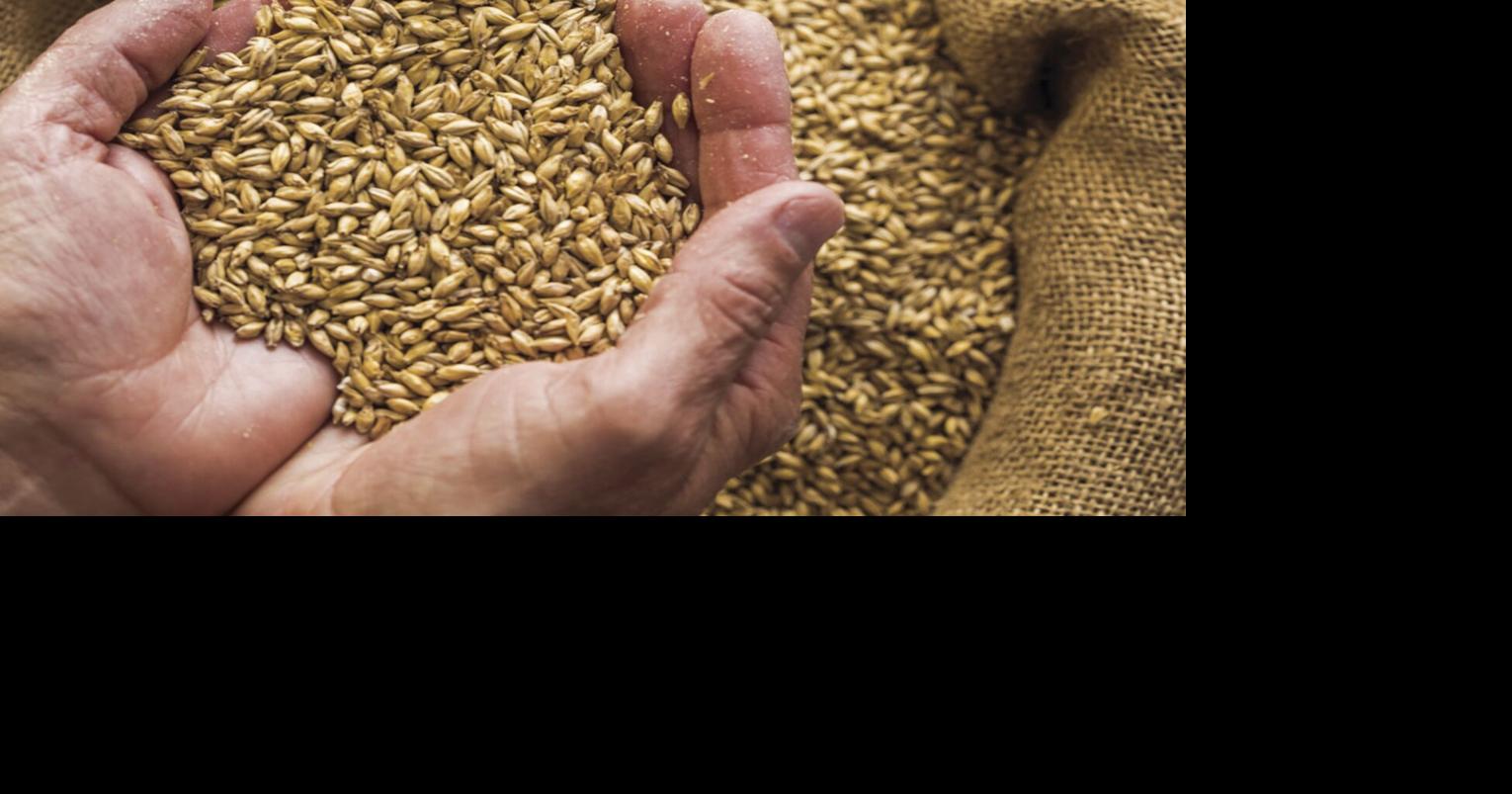 Alaska Allocates  Million for Grain Reserve | Local News