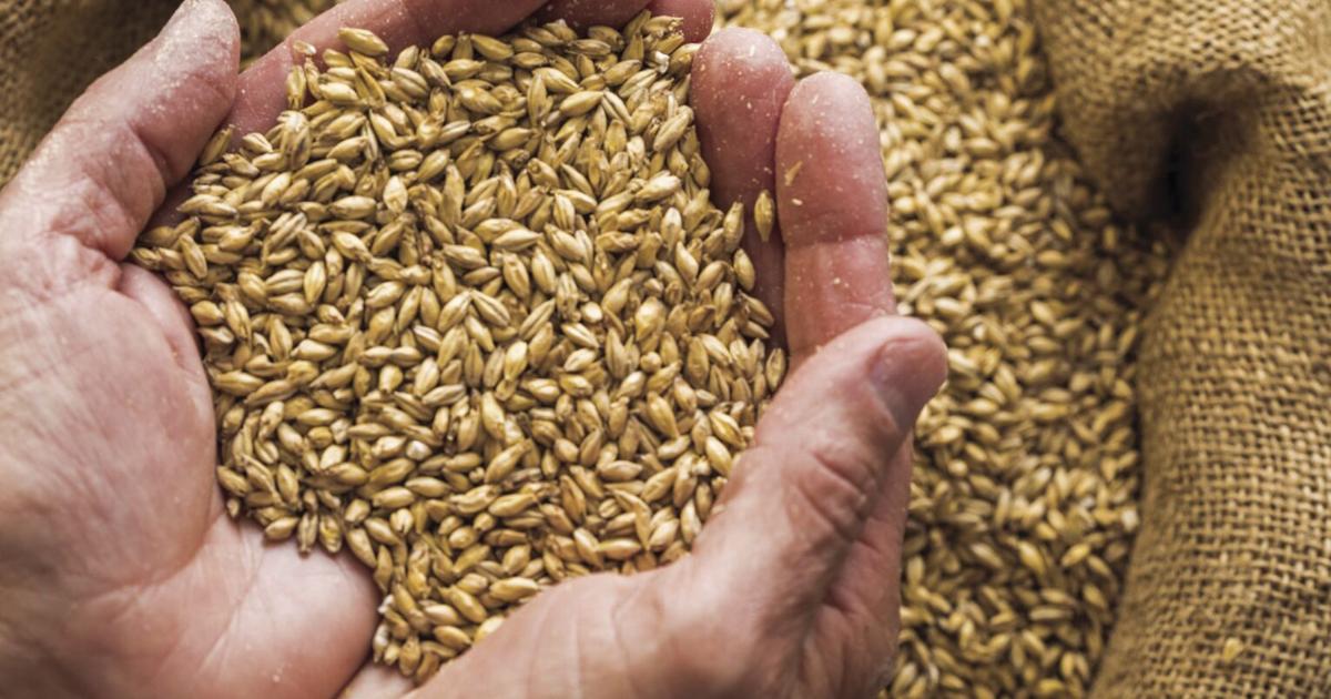 Alaska Allocates Million for Grain Reserve | Local News Alaska Allocates Million for Grain Reserve | Local News