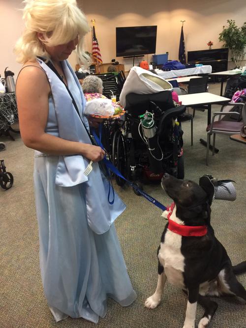 Pet costume contest