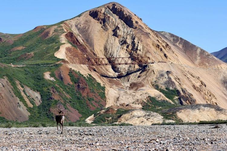 Prettu Rocks Bridge opens over Pretty Rocks Landslide in Denali National Park | Kris ...