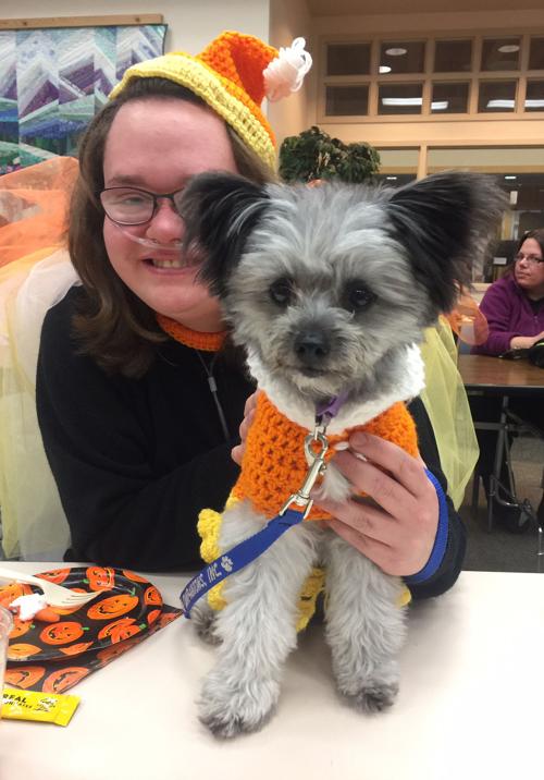 Pet costume contest