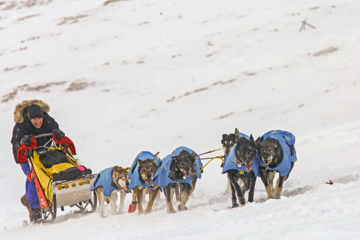 2019 Yukon Quest - Mile 101