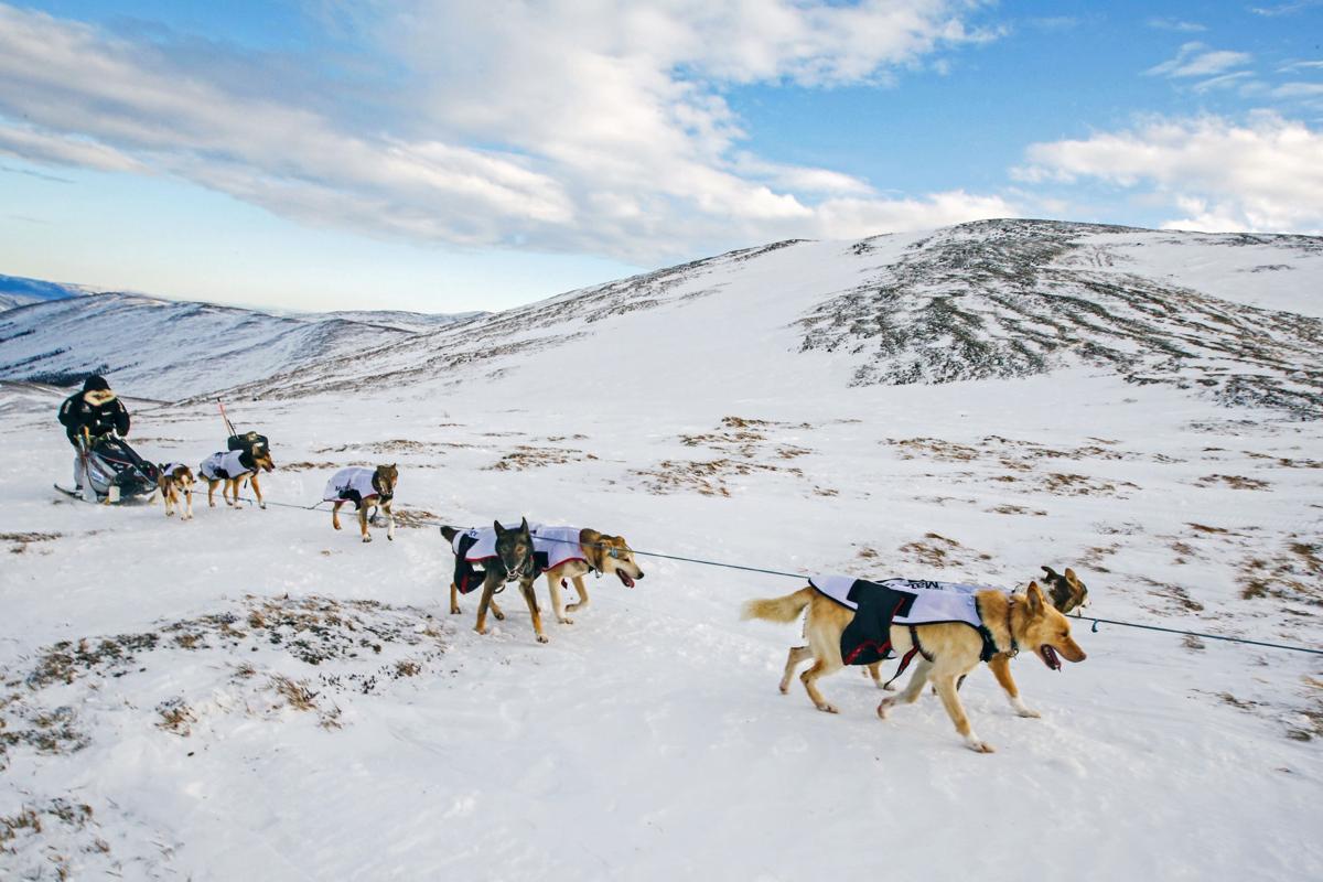 2019 Yukon Quest - Mile 101