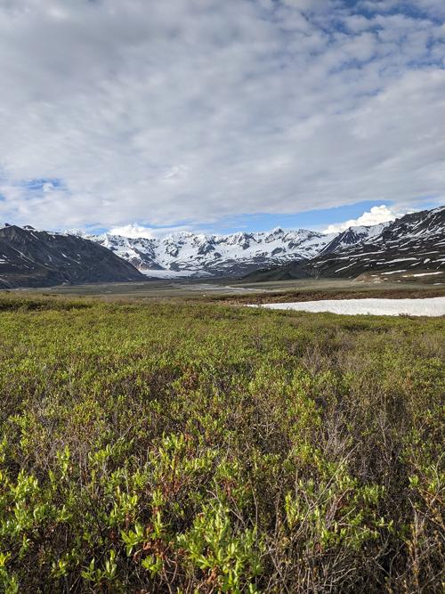 AlaskAcross XXI