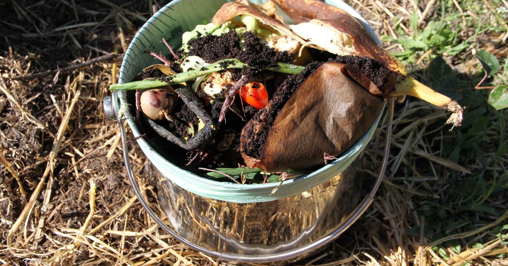 How compost can become worth its weight in garbage