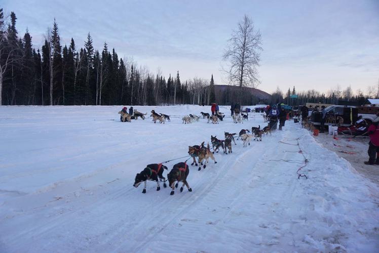 Two Rivers Mushers Association kicks off winter solstice with race ...