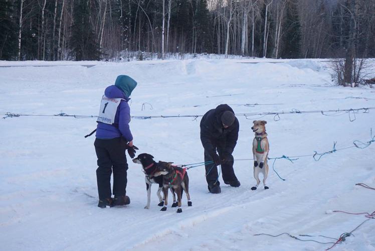 Two Rivers Mushers Association kicks off winter solstice with race ...