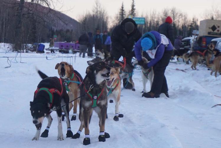 Two Rivers Mushers Association kicks off winter solstice with race ...