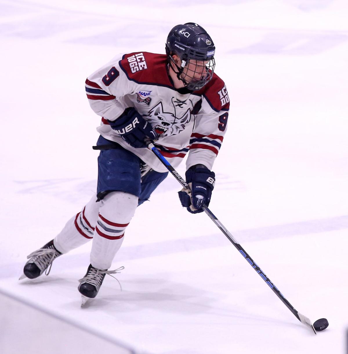 2018 Fairbanks Ice Dogs Ice Dogs
