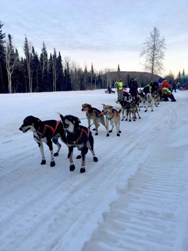 Two Rivers Mushers Association kicks off winter solstice with race ...