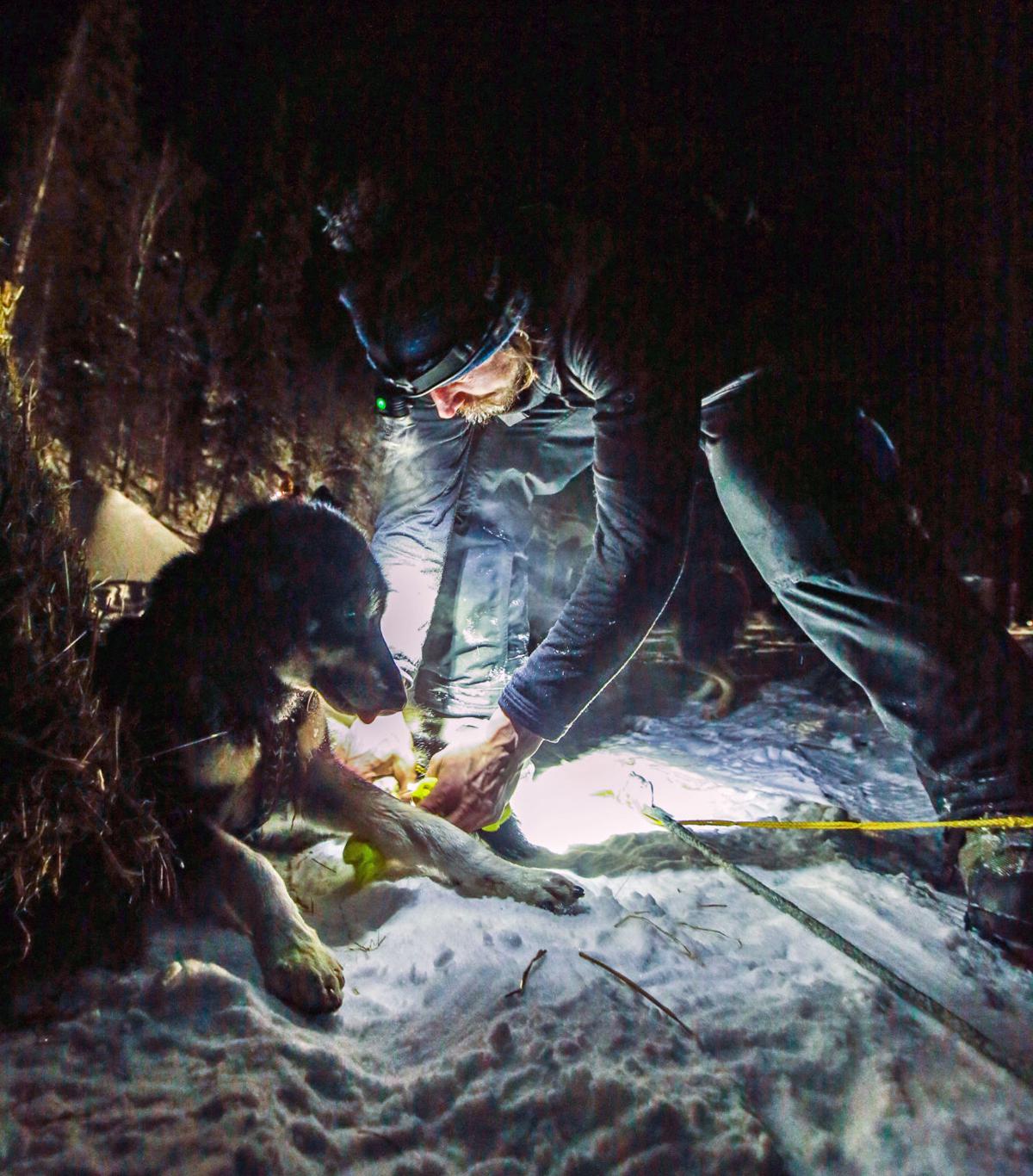 2019 Yukon Quest - Two Rivers