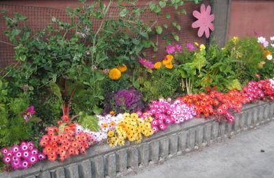 How To Build A Better Looking Garden Bed Gardening Newsminer Com