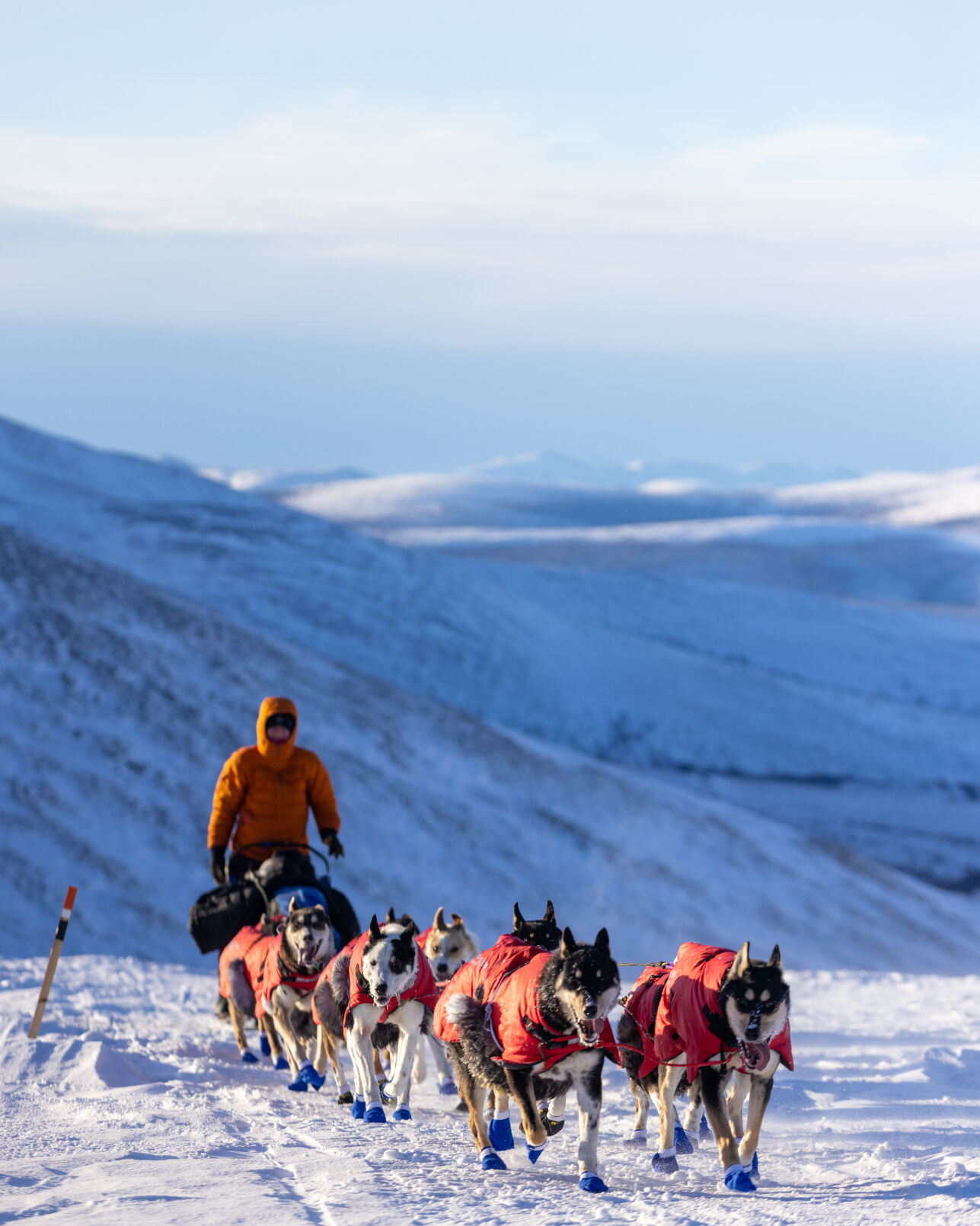 Updates For Day Two Of 2024 Yukon Quest Alaska Races Yukon Quest   65c0697d2233d.image 