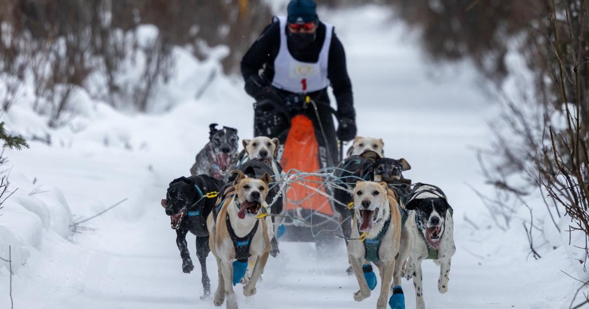 Spring Dog Sledding Remy Coste wins Minto Spring Carnival sled dog race | Local | newsminer.com