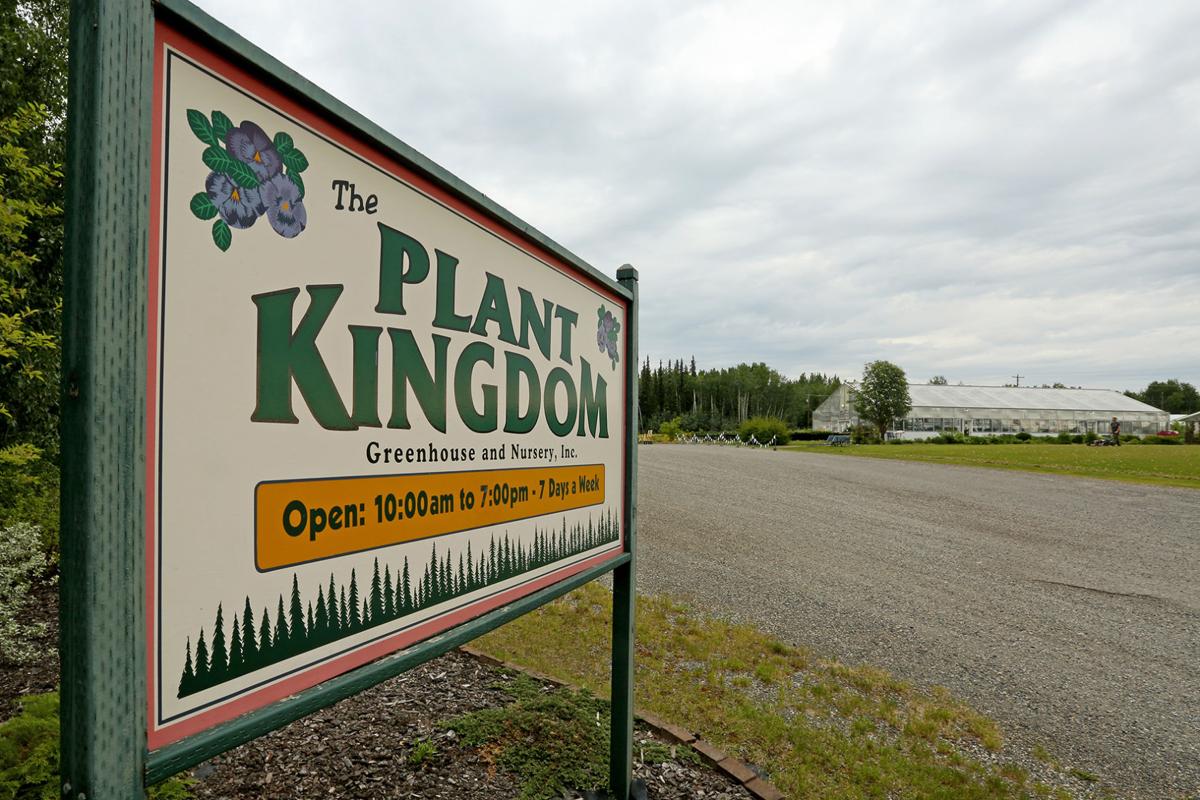 The Fairbanks queen who reigns over The Plant Kingdom The Fairbanks queen who reigns over The Plant Kingdom