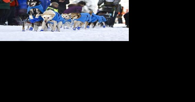 What to know for the 2024 Yukon Quest - Vimarsana News