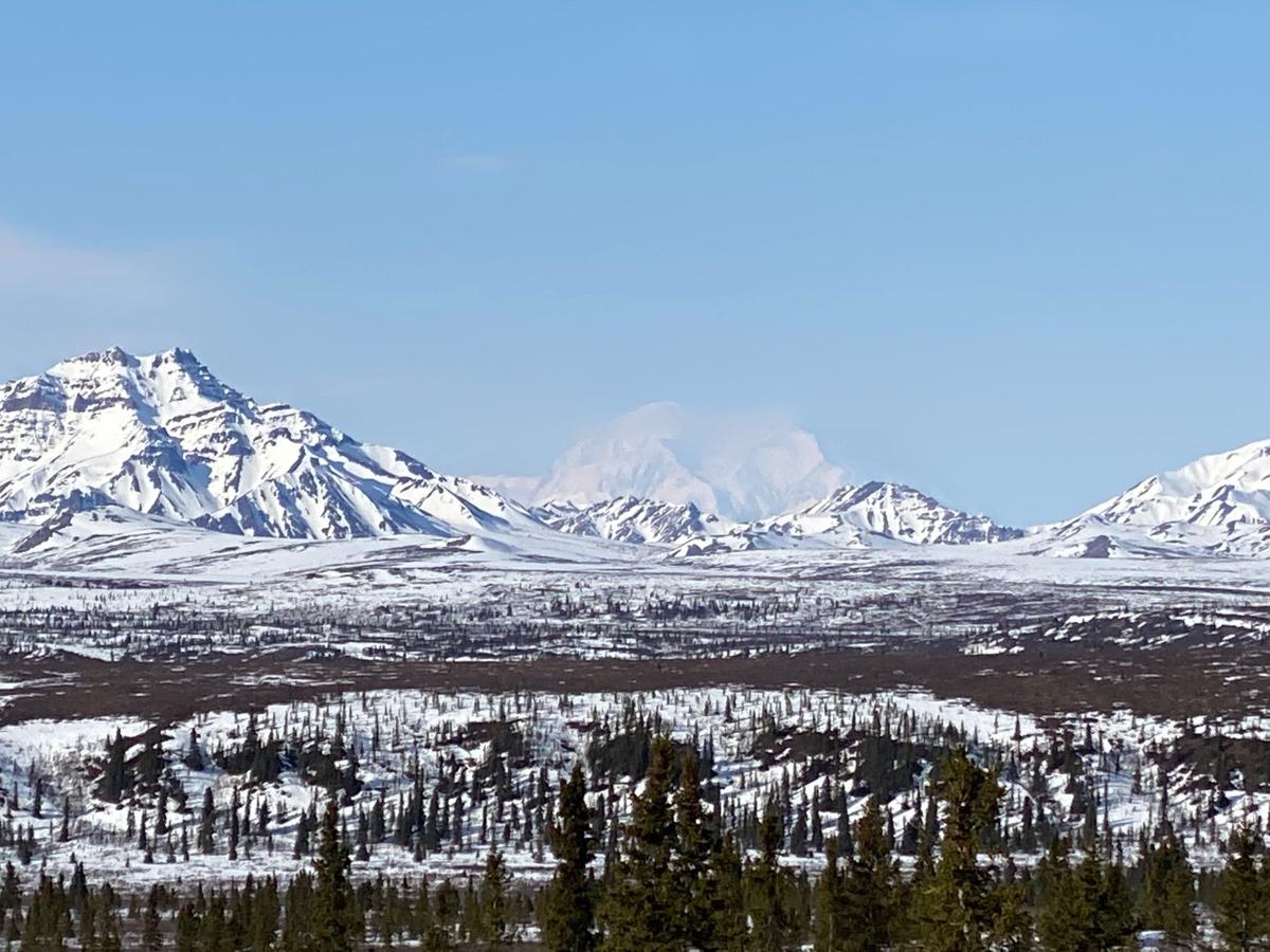 Denali National Park Opens Road To Mile 12 May Hold More Road