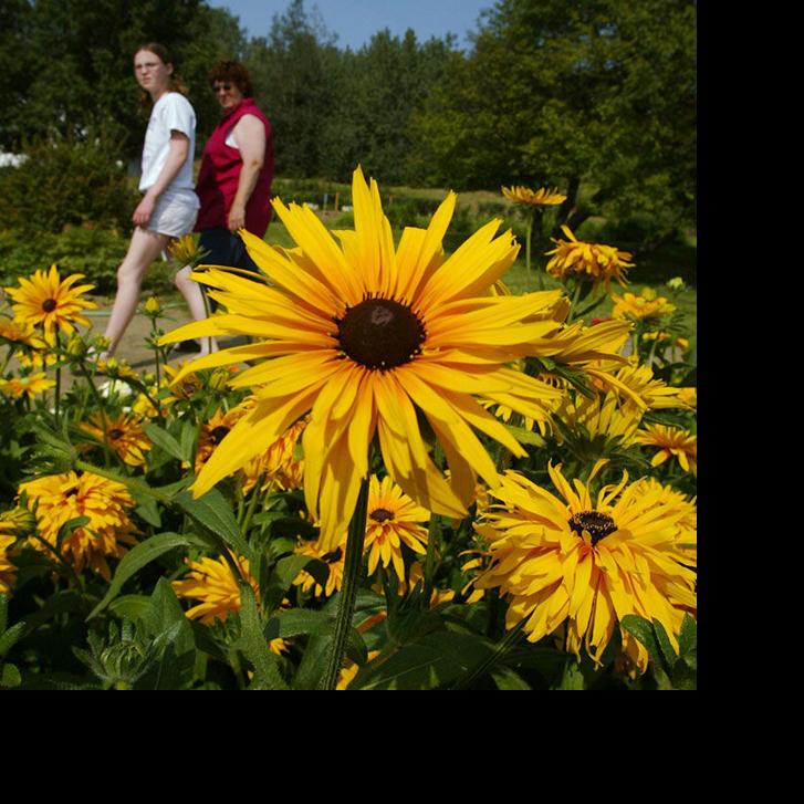 See Alaska in full color at botanical garden - Fairbanks Daily News-Miner