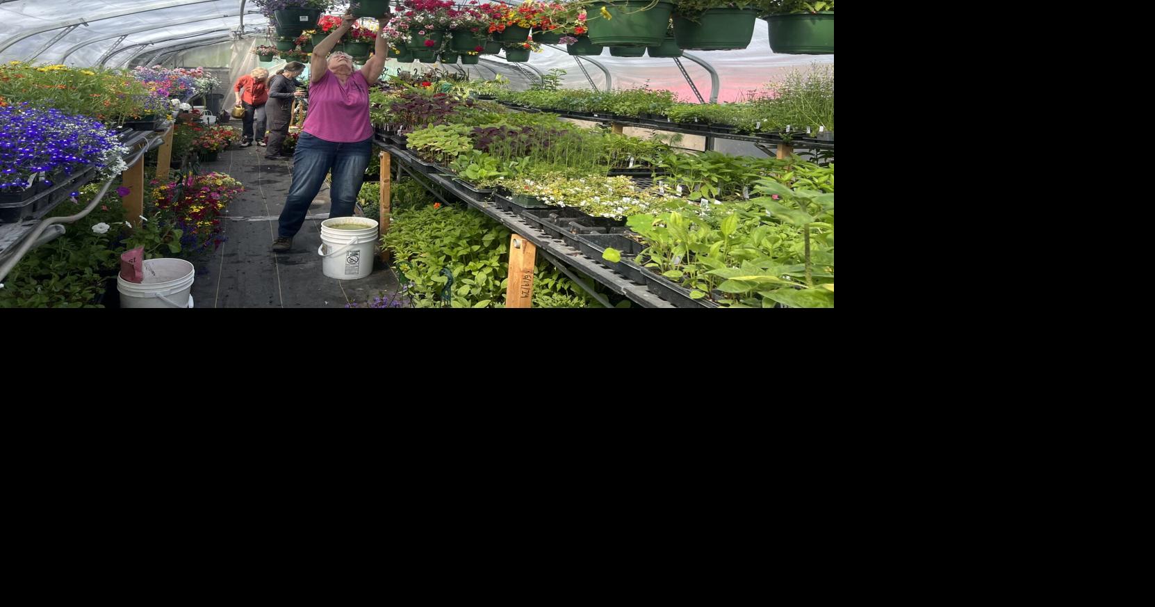 Hospice plant sale is Saturday
