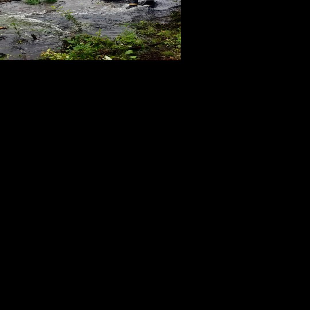 Beaver dams threaten Anderson with flooding Local News