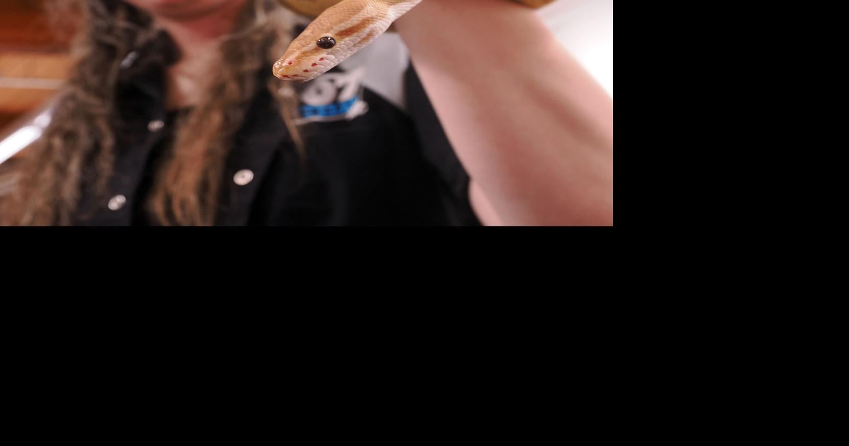 Second annual ScaleFest gives reptile lovers and the reptile-curious a chance to meet snakes, spiders, geckos and the people who care for them