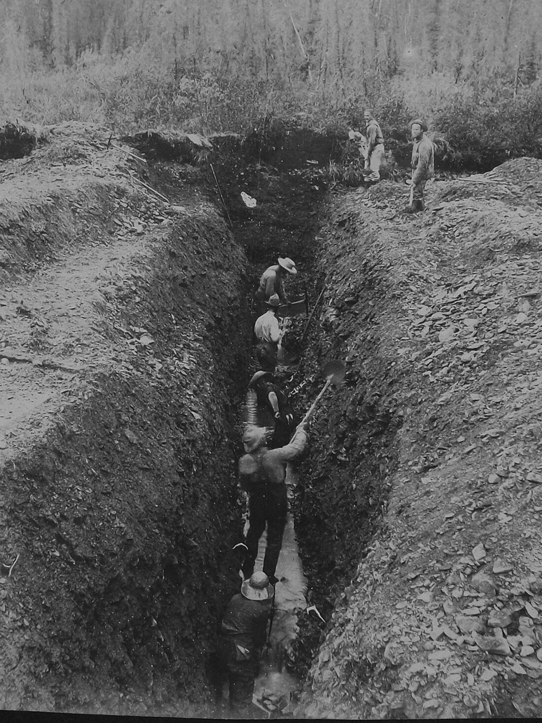 An Alaskan Adventure