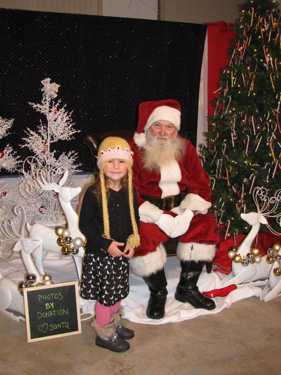 Festival of Trees provides holiday cheer