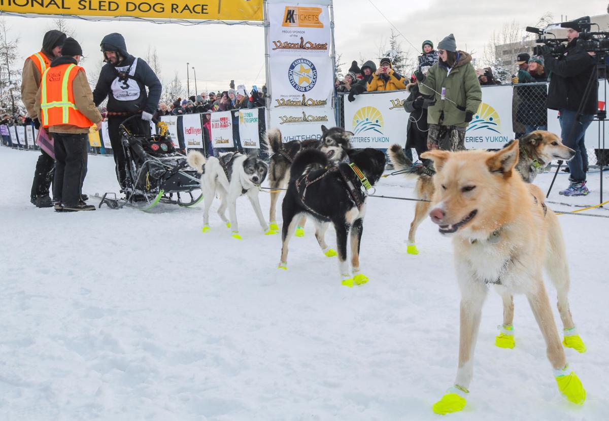 2019 Yukon Quest - Fairbanks