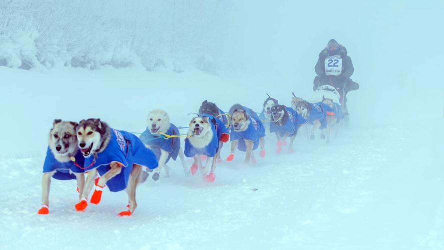 Mushers take off amid harsh conditions for start of the 2024 Yukon