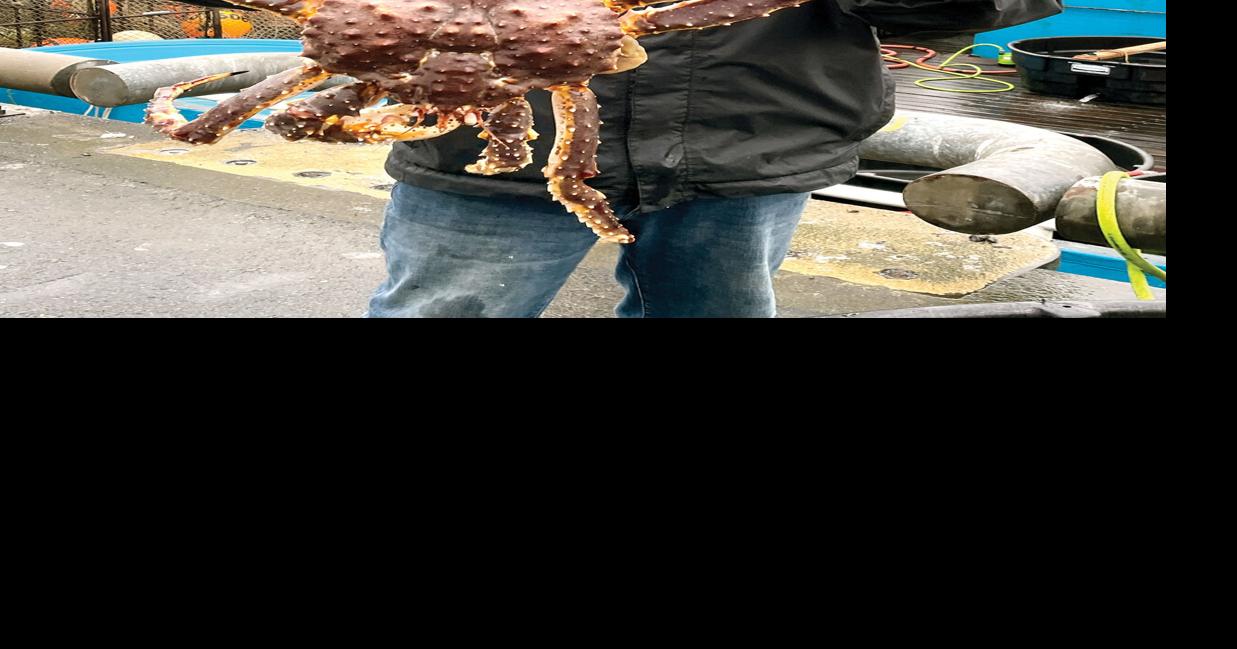Sale of king crabs returns to Kodiak Alaska News