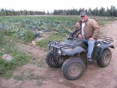 Alaska farmer carves u-pick niche out of Delta wilderness 