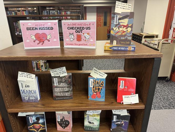 School Library Month: The work of a school librarian | Local News ...