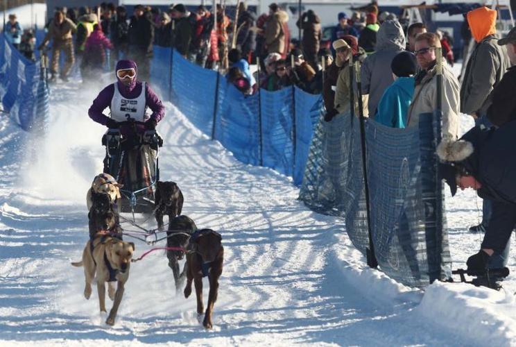 Mush madness: Scandinavian competitors take first three IFSS gold ...