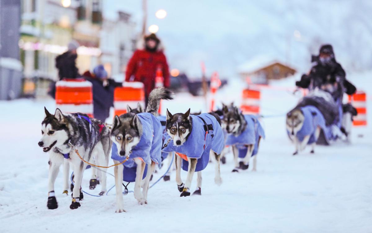 2019 Yukon Quest - Dawson City 3
