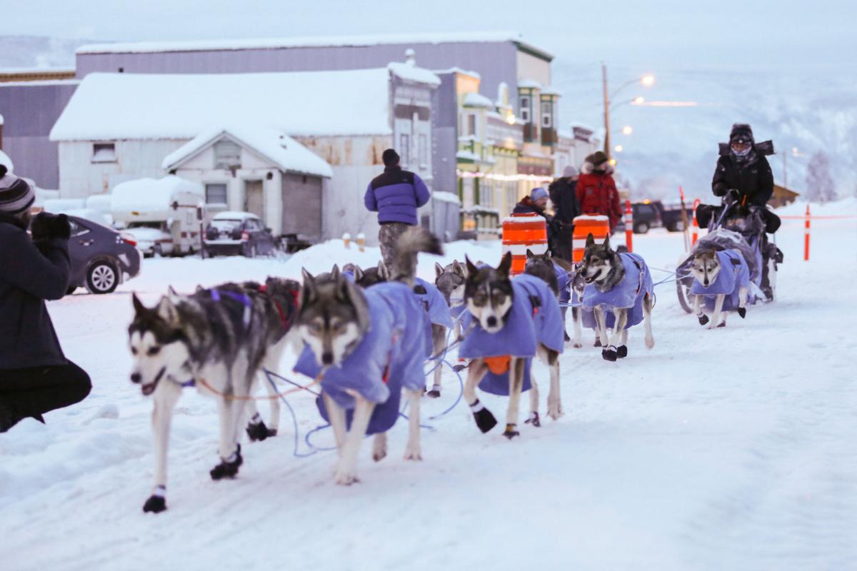 2019 Yukon Quest - Dawson City 3