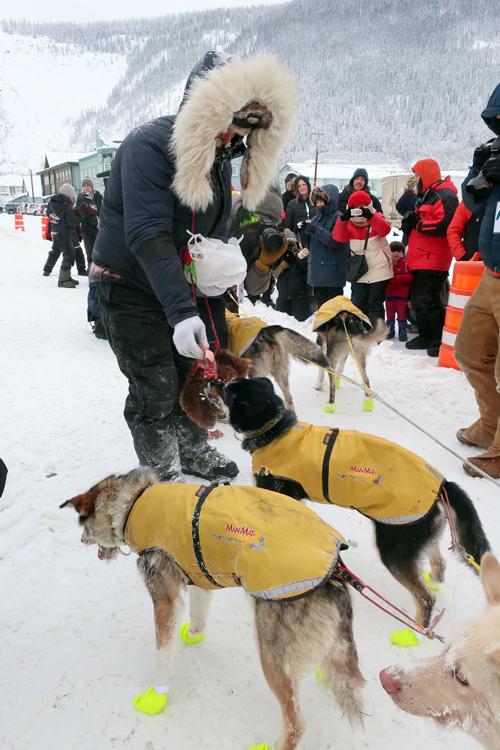Sass in Dawson City
