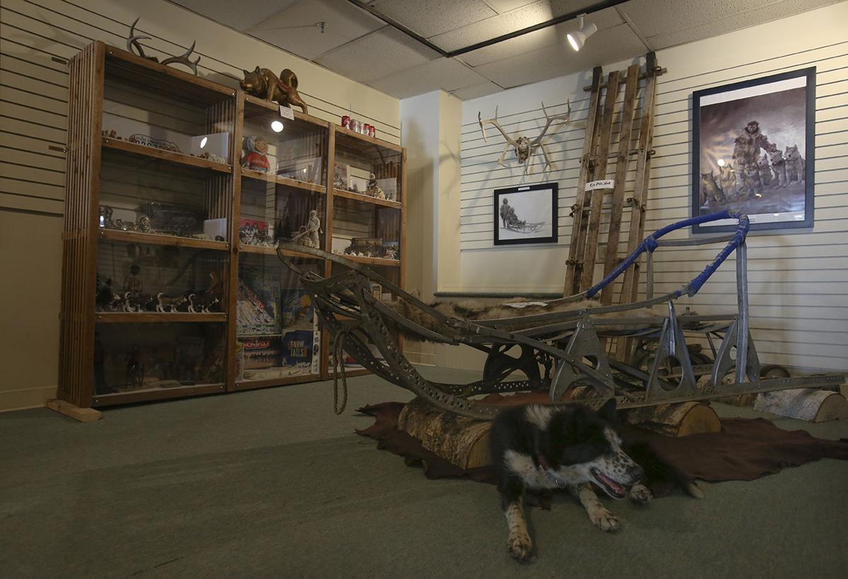 Bouchard S International Dog Mushing Museum Bouchard S International Dog Mushing Museum