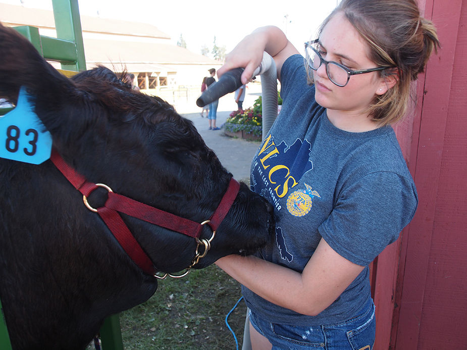 Tanana Valley State Fair