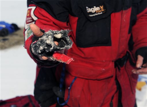 2014 Iditarod Nikolai