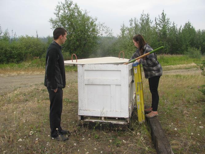 Yukon River Camp sprouts homegrown zucchini, sustainable waste system
