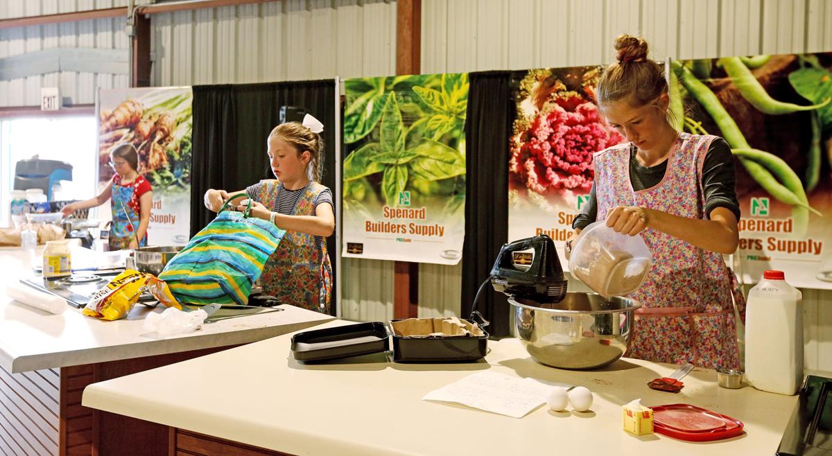 Tanana Valley State Fair
