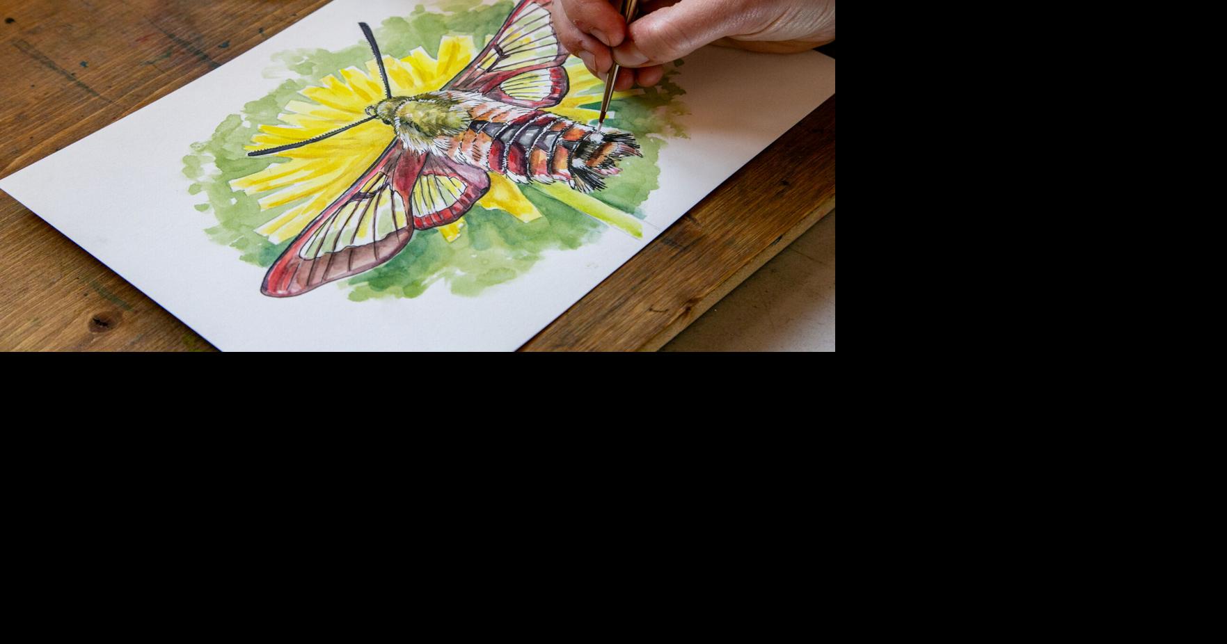 Kristin Link - Drawn in Place