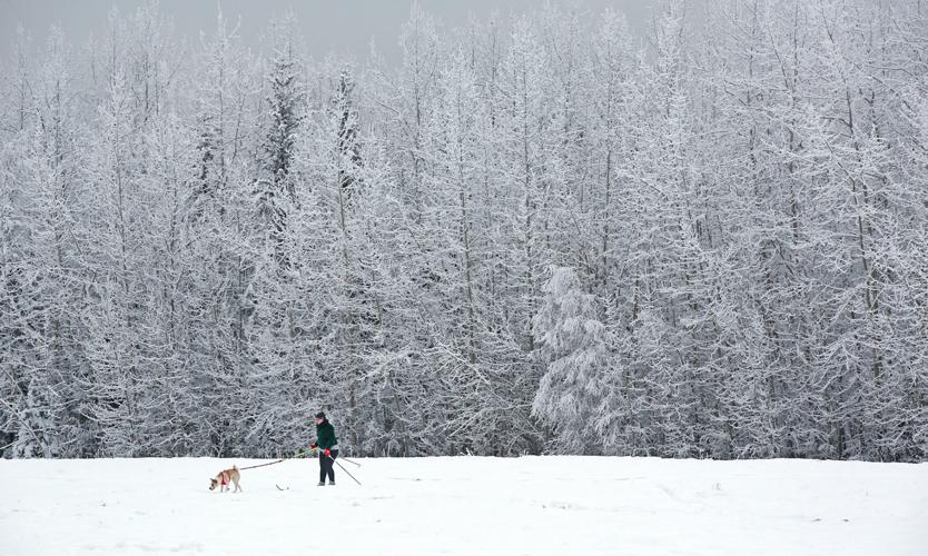 Study maps most popular uses of Creamer’s Field trails Outdoors