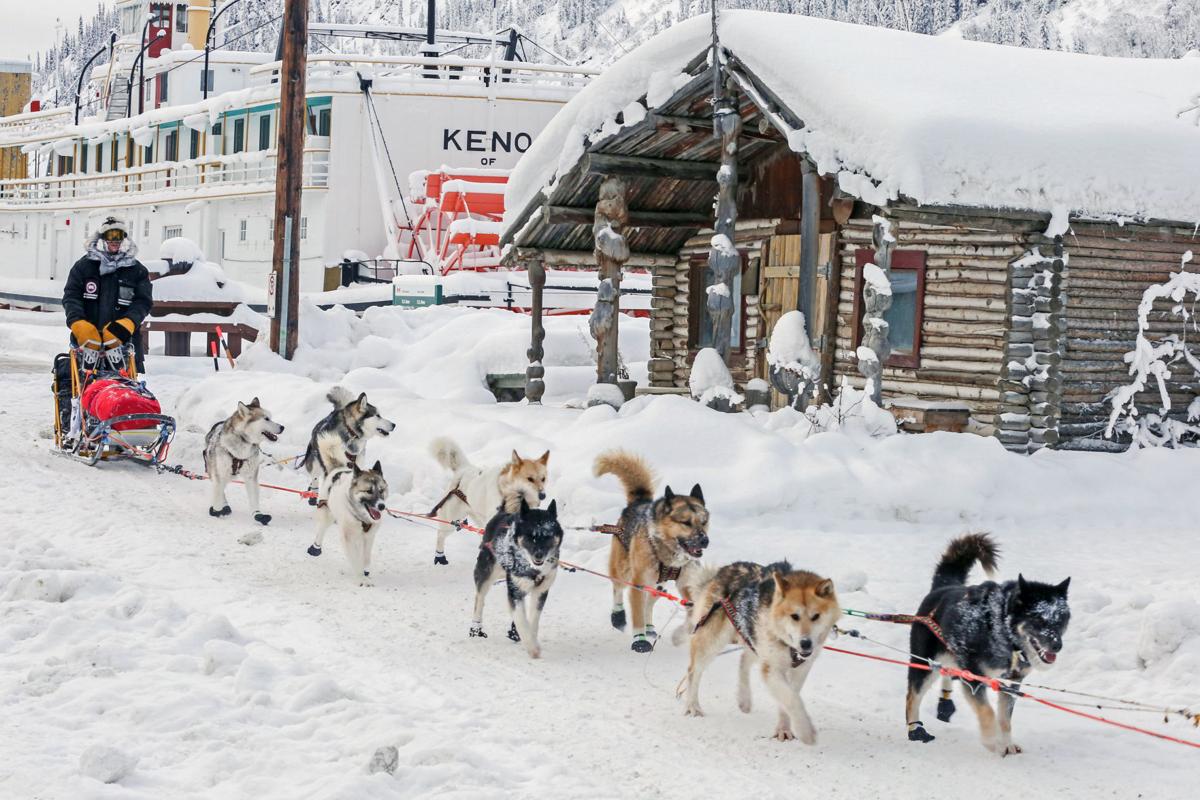 2019 Yukon Quest - Dawson City 3