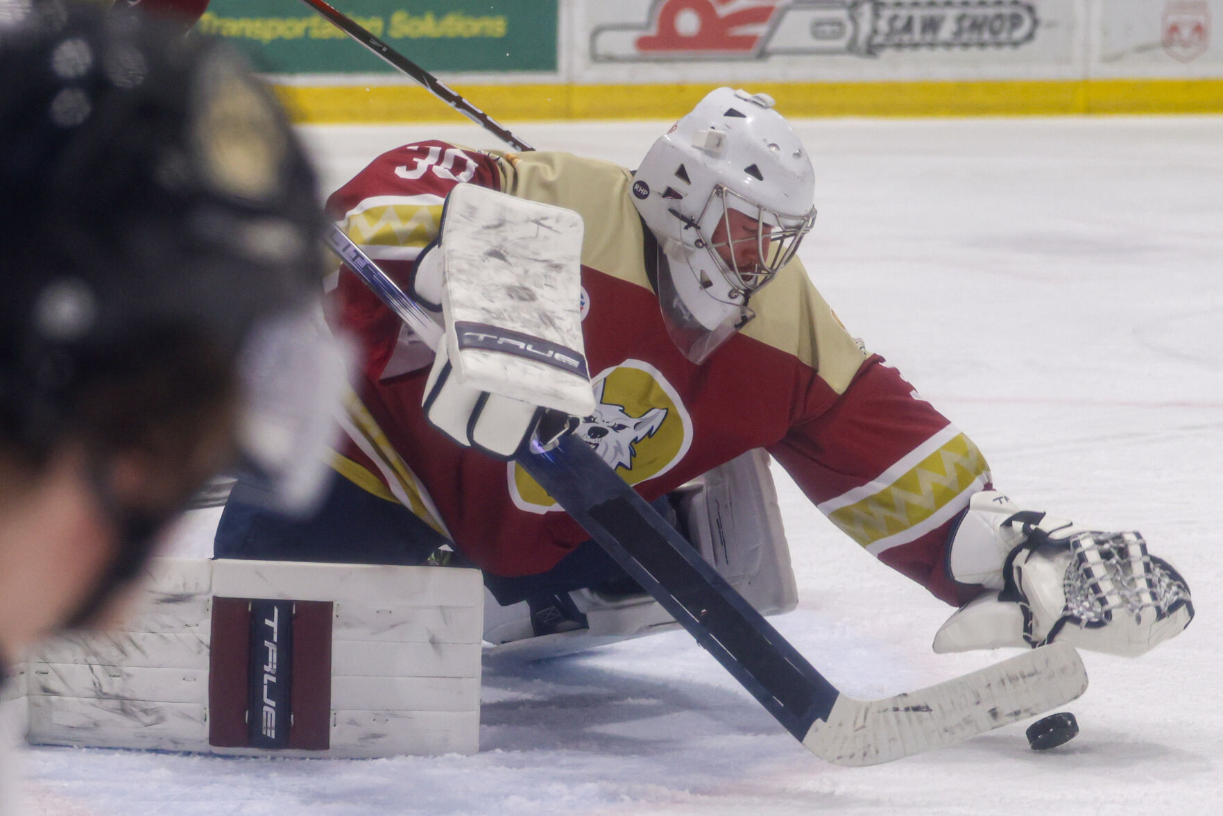 Ice Dogs’ Menard commits to NCAA DI program Augustana University | Ice ...