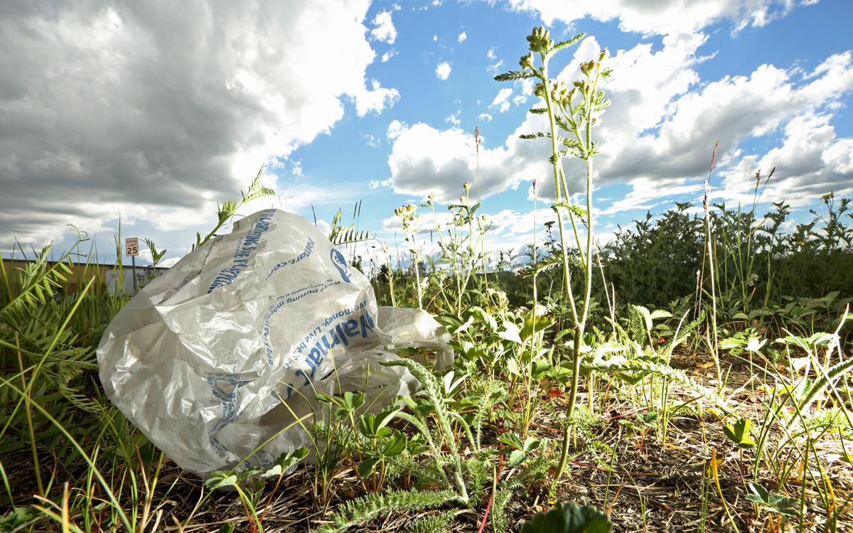 Assembly supports state ban on plastic bags, with reservations | Local News  | newsminer.com, image size:1200x750
